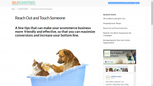 Articulate Writing Solutions